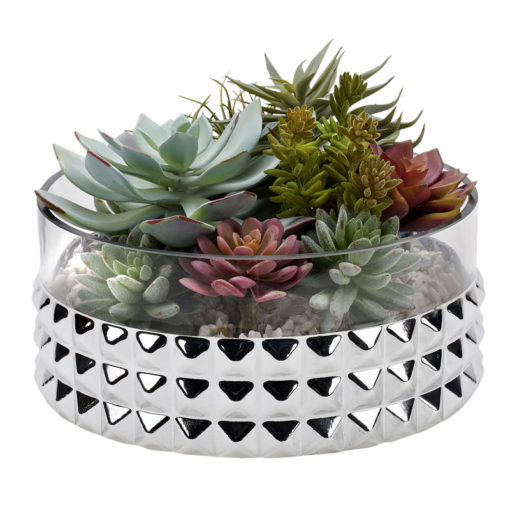 Frosted  and Echeveria in Large Short Stud Vase - 212062