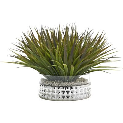 Grass in Short Stud Vase - 212064