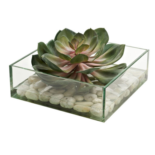 Pink/Green Echeveria in Marina Vase - 212074