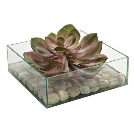 Red/Green Echeveria in Marina Vase - 212075