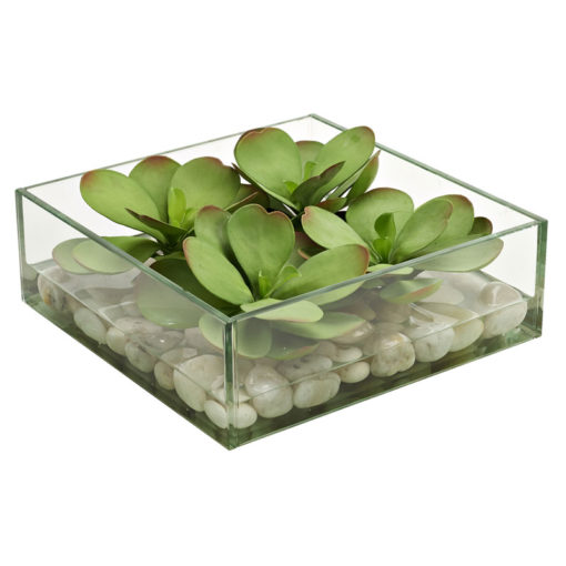 Green/Rose Echeveria in Marina Vase - 212077