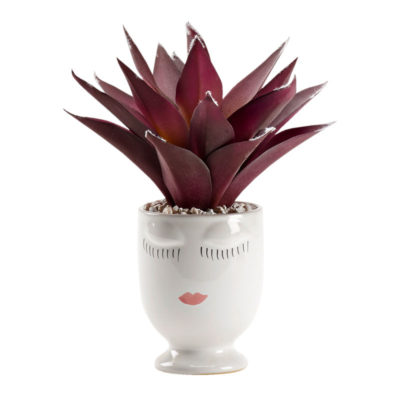 Lavender/Green Agave Plant in Ceramic Selfie Planter - 212083