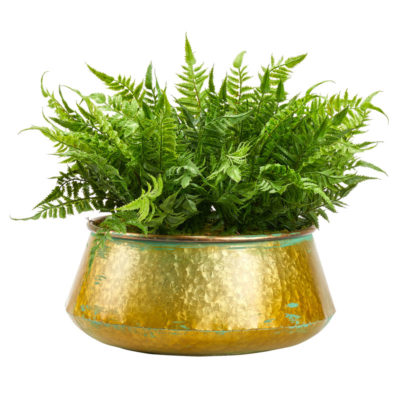 Leather Fern in Round Metal Planter - 212094