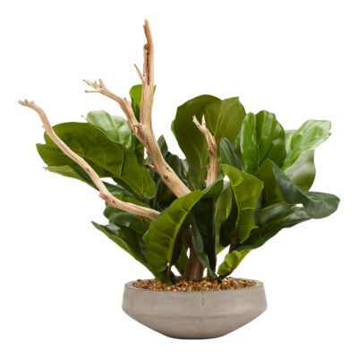 Fiddle Leaf Fig Branches with Ghostwood in Newport Bowl - 212105