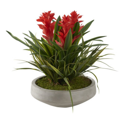 Red Gingers with Grass in Newport Bowl - 212106