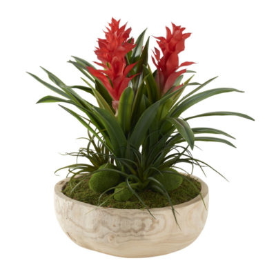 Red Gingers with Moss Stones in Ambrose Flat Bowl - 212107