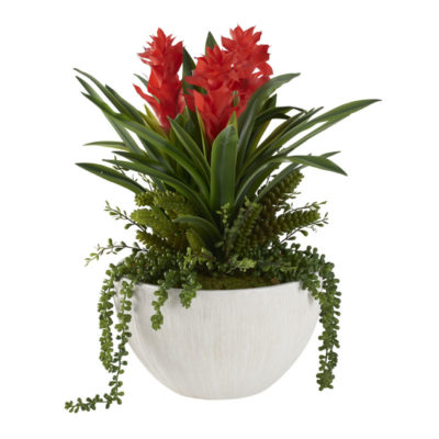 Red Gingers with Succulents in Large Ezra Vase - 212108