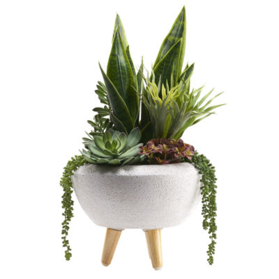 Green Mother-in-Law's Tongue with  in Small Triad Planter - 212110