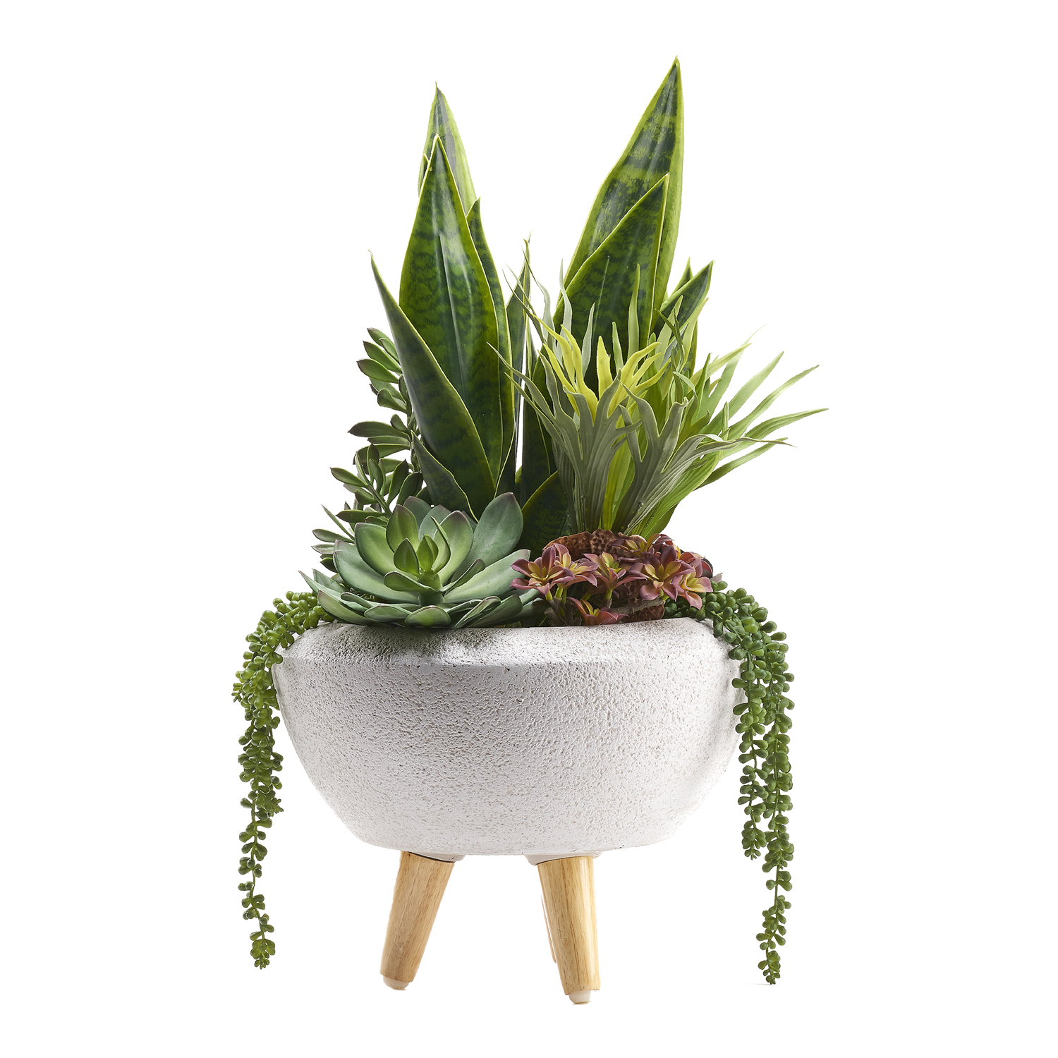 Green Sansevieria & Echeveria in Triad Planter - 212110