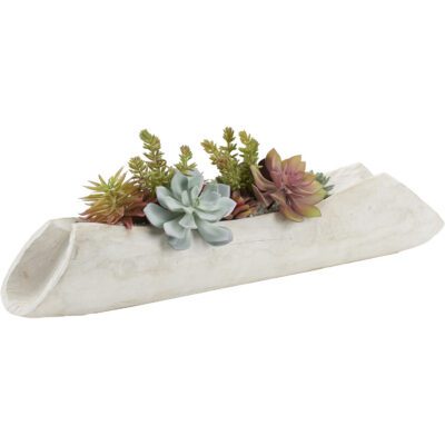 Echeveria, Agave and Assorted Succulents in Lodge Planter - 212130