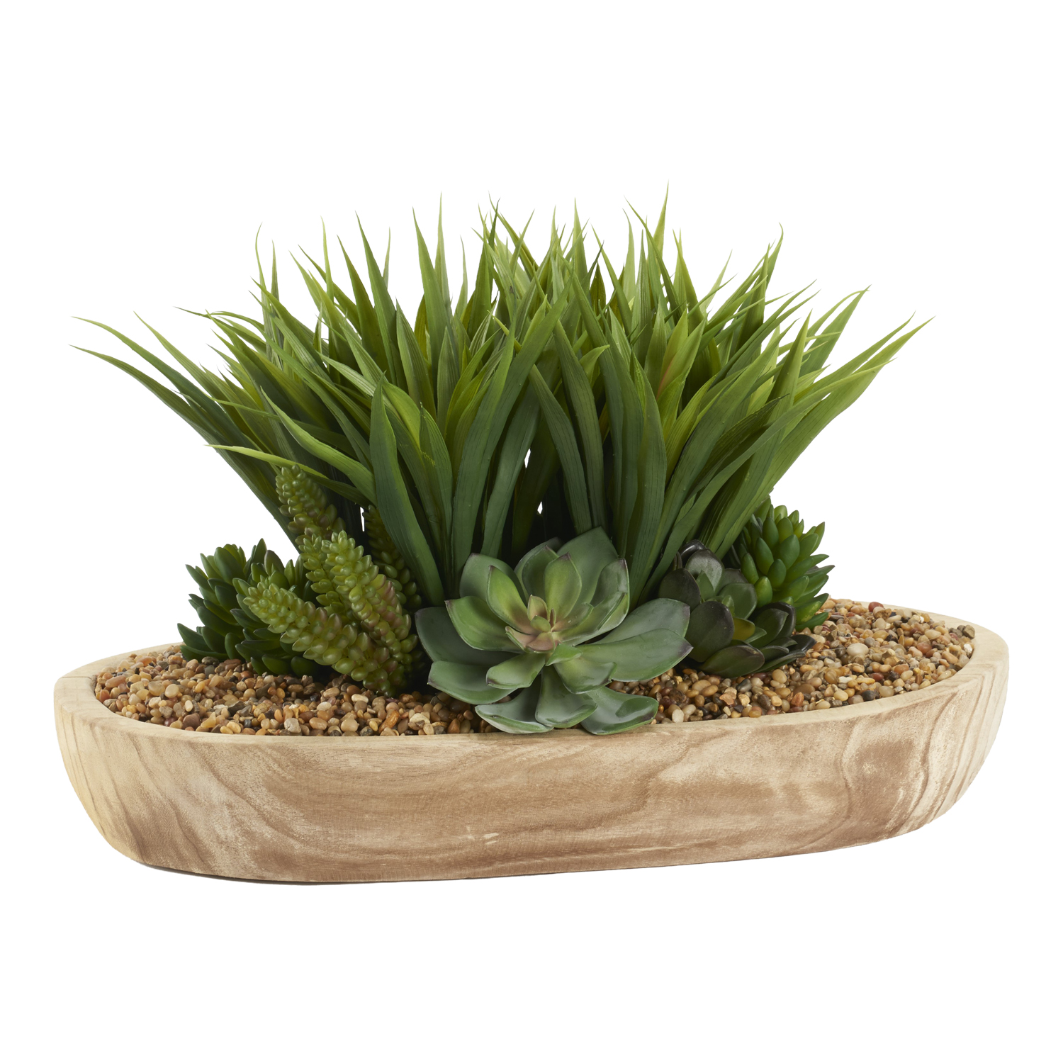 Lily Grass, Echeveria & Succulents in Ambrose Oval Bowl - 212134