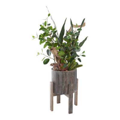 Oriental Ficus Branches, Ghostwood & Sansevieria in Cooper Planter - 212143