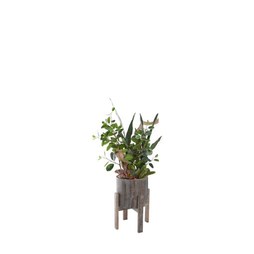 Oriental Ficus Branches, Ghostwood & Mother-in-Law's Tongue in Cooper Planter - 212143