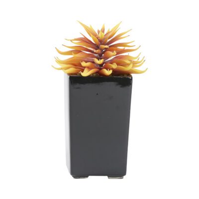 Orange Stem Succulent in Orion Planter - 212165
