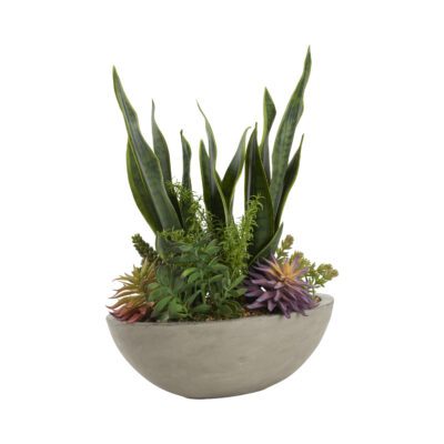 Sansevieria with Assorted Succulents in Newport Bowl - 212178