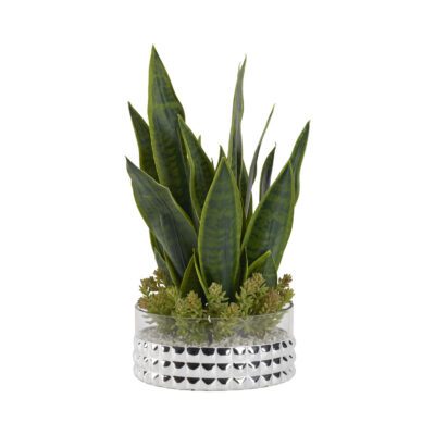 Sansevieria with Mini Flocked Succulents in Large Short Stud Vase - 212179