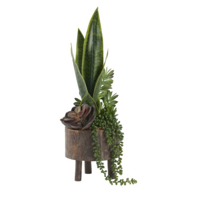 Green Mother-in-Law's Tongue with Echeveria, Sedum and Jade Plant in Small Miller Planter - 212180