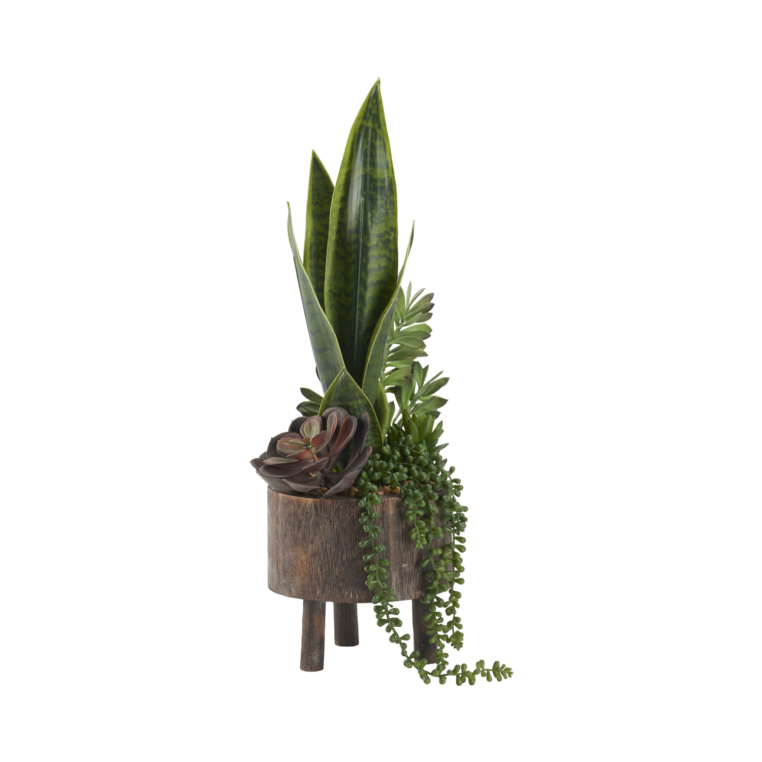 Green Sansevieria, Echeveria, Sedum & Jade Plant in Miller Planter - 212180
