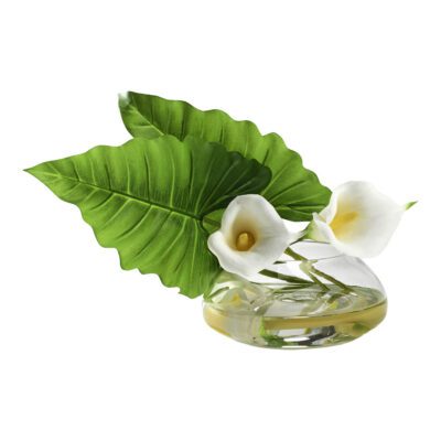 Calla Lilies and Philo Leaves in Medium Puddle Vase - 212190