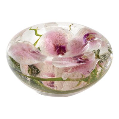 Orchids in Medium Puddle Vase - 212220