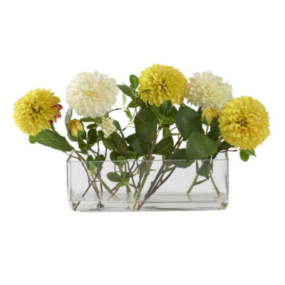 Cream and Yellow Dahlias in Small Aquaria Vase - 212229