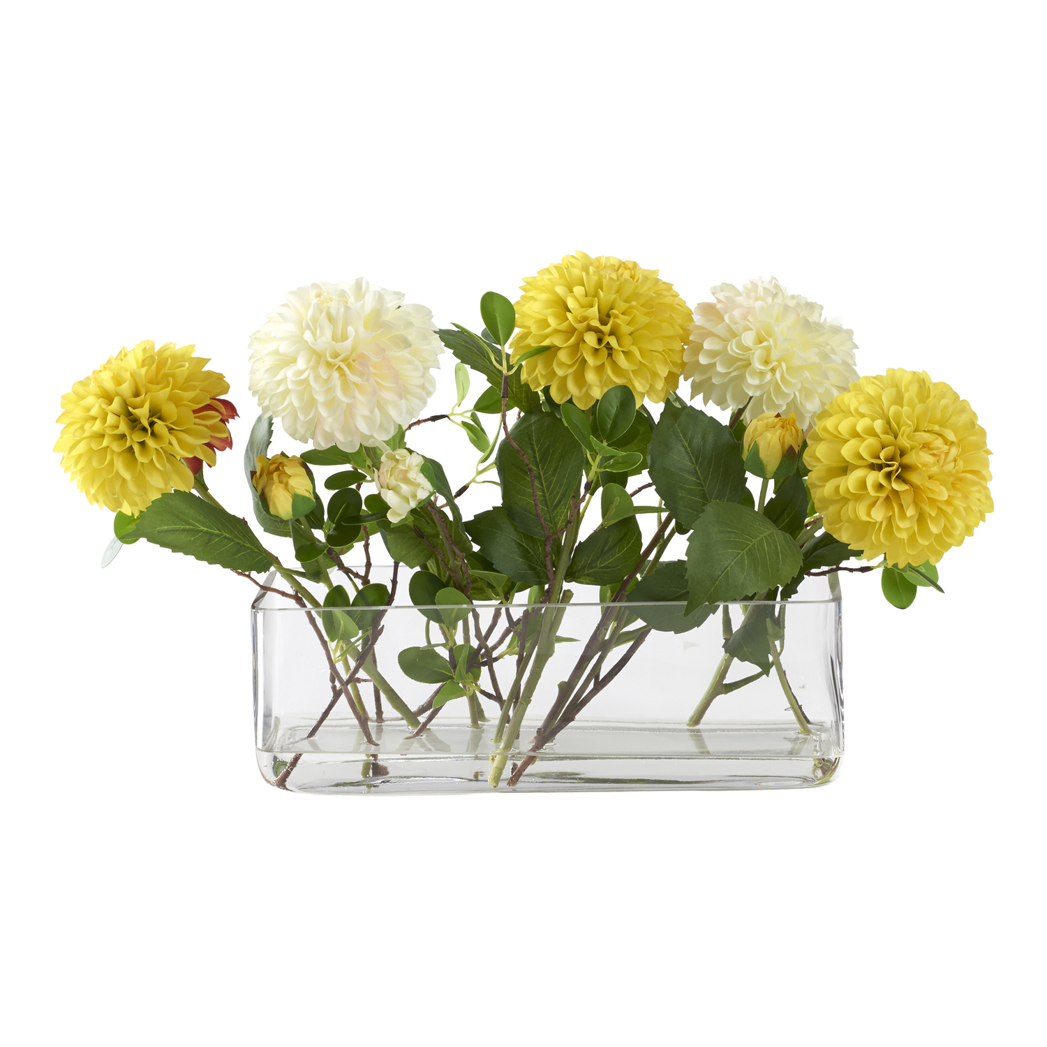 Cream and Yellow Dahlias in Small Aquaria Vase - 212229