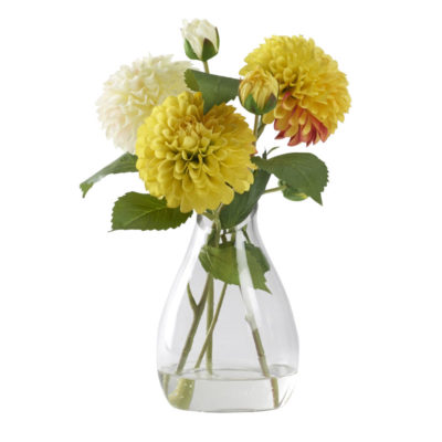 Cream and Yellow Dahlias in Teardrop Vase - 212230