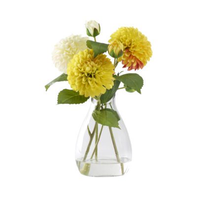 Cream and Yellow Dahlias in Teardrop Vase - 212230