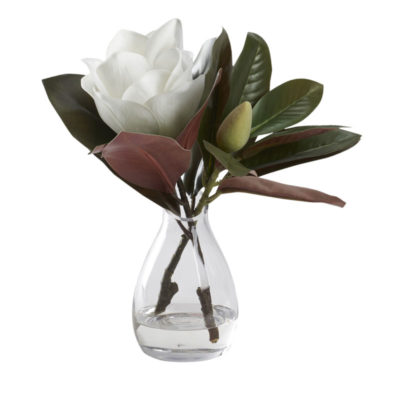 White Magnolia Bloom in Teardrop Vase - 212234