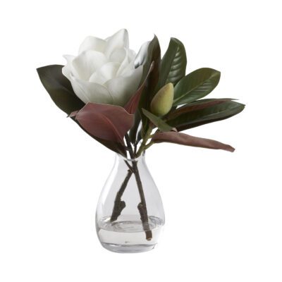 White Magnolia Bloom in Teardrop Vase - 212234