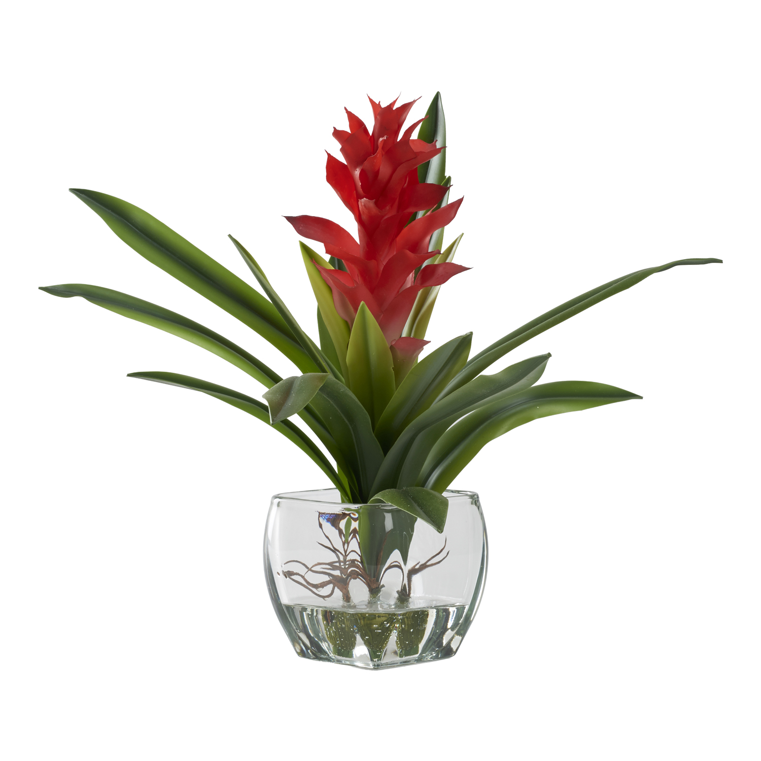 Red Ginger Plant in Bevel Vase - 212240
