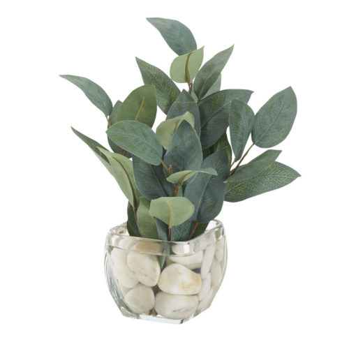 Eucalyptus in Bevel Vase - 212244