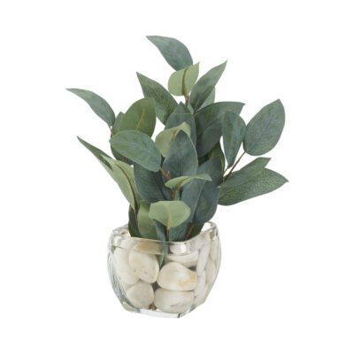 Eucalyptus Grey/Green in Bevel Vase - 212244