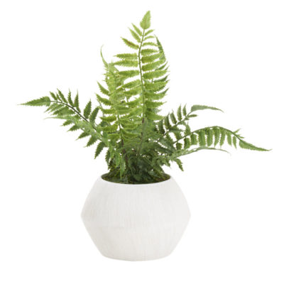 Heather Fern in Large Cove Vase - 212254