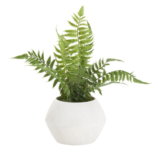 Heather Fern in Large Cove Vase - 212254