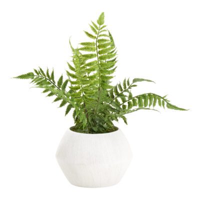 Heather Fern in Large Cove Vase - 212254