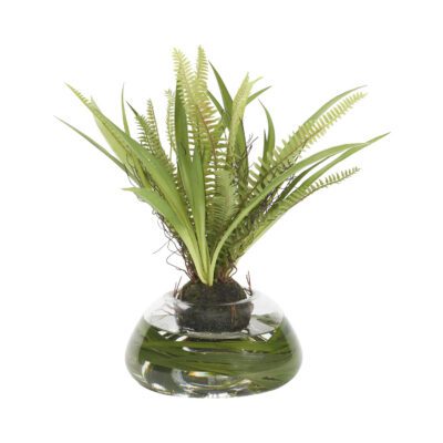 Fern & Wild Grass in Small Puddle Vase - 212255
