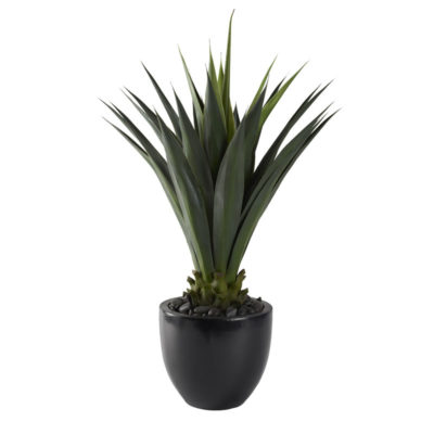 48" Agave Plant in Large Taylor Planter - 321205