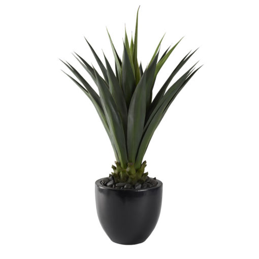 48" Agave Plant in Large Taylor Planter - 321205