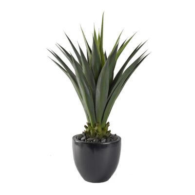 Agave Plant in Taylor Planter - 321205