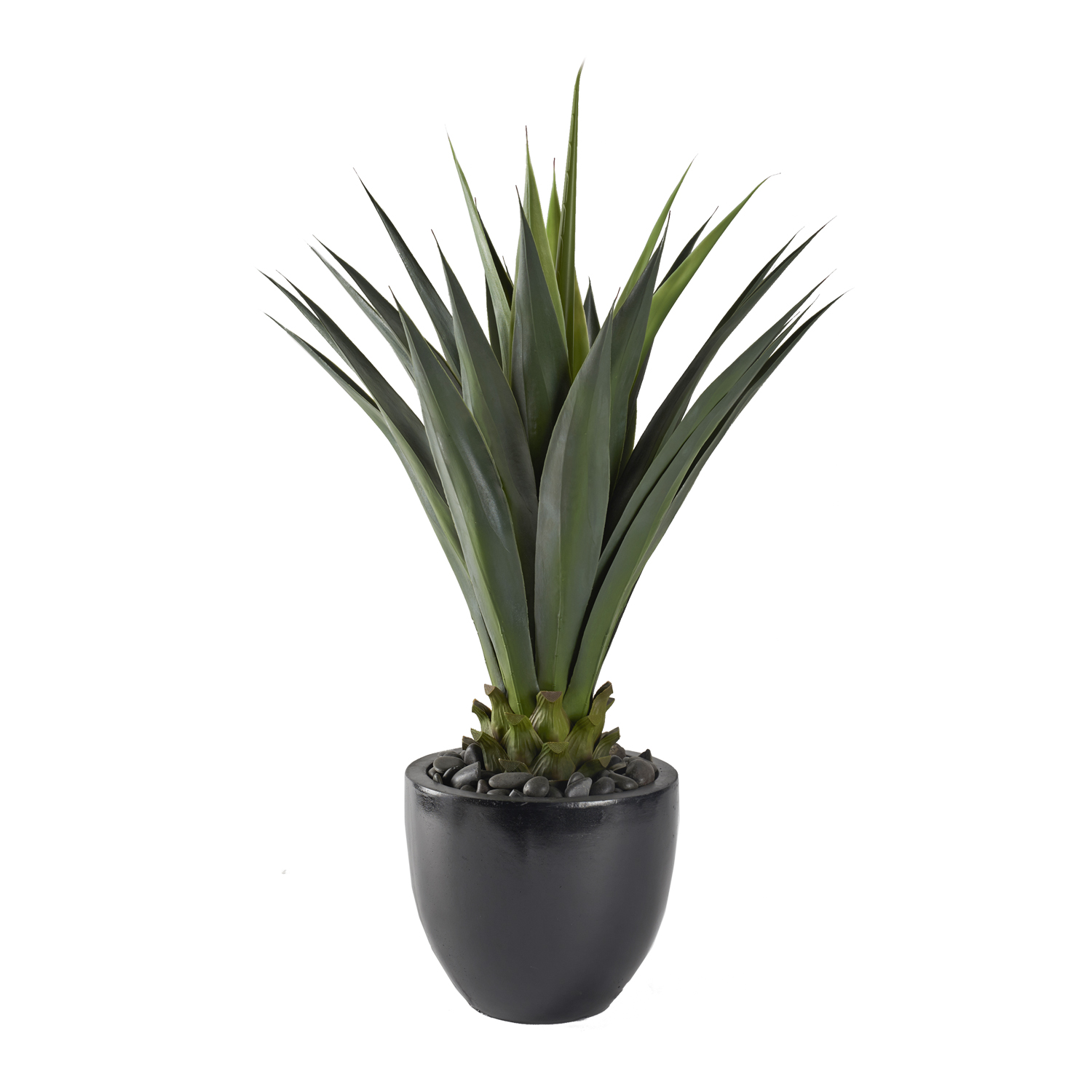 Agave Plant in Taylor Planter - 321205