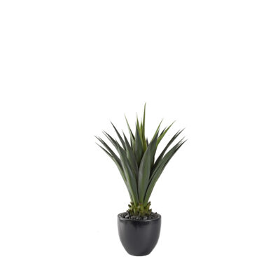 Agave Plant in Taylor Planter - 321205