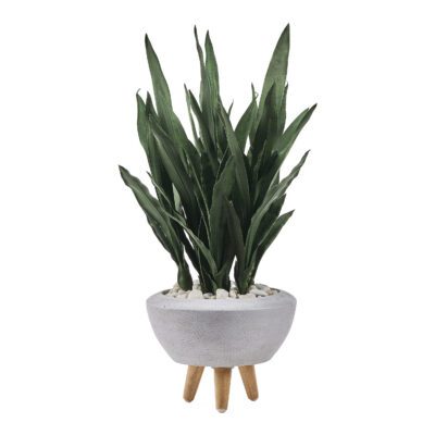 Dark Green Sansevieria in Triad Planter - 321206