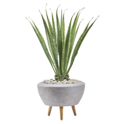 Agave Plant in Large Triad Planter (with legs)- 321207