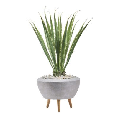 Agave Plant in Triad Planter - 321207