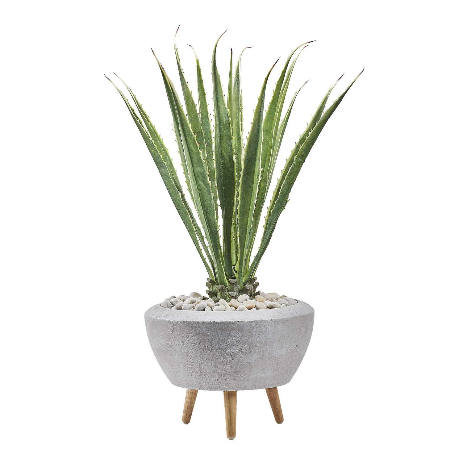Agave Plant in Triad Planter - 321207