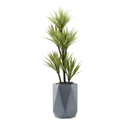 Yucca Tree in Raye Planter 4.5' - 321209