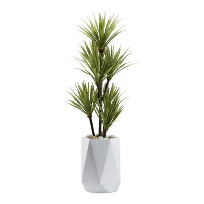 Yucca Tree in Raye Planter 4.5' - 321211
