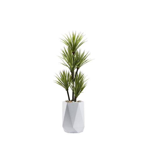 Yucca Tree in Raye Planter 4.5' - 321211