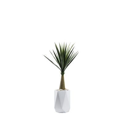 Sisal Tree in Raye Planter 4.5' - 321212